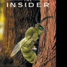 Beverly Blackman-Mounce Launches THE INSIDER