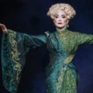 Photo Flash: First Look at Michele Lee as 'Madame Morrible' in WICKED!