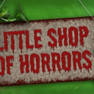 Notre Dame's FFT Production of LITTLE SHOP OF HORRORS Starts Tonight Video