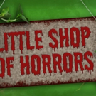 Notre Dame's FFT Production of LITTLE SHOP OF HORRORS Starts Tonight