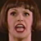 Tony Award Countdown: 30 Years In 30 Days, Spotlights Shine on Siblings Hunter…