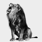 Shaw Festival to Stage Interactive ANDROCLES AND THE LION