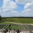 GARDEN STATE WINE GROWERS ASSOCIATION Launches Weekly Radio Show on NJ's WCTC-AM