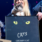 Photo Coverage: Grumpy Cat Pounces Onto Broadway!