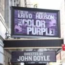 Up on the Marquee: THE COLOR PURPLE