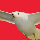 The Classic Theatre to Present THE SEAGULL