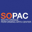 SOPAC Receives 2017 NEA Grant for World Music Artists Video