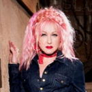 Cyndi Lauper and NEW GIRL Writer to Adapt WORKING GIRL for Broadway Video