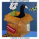Peter Frampton Reveals New Song 'I Saved A Bird Today'
