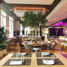 BWW Preview:  GREEN FIG at YOTEL in Hell's Kitchen Offers Modern Israeli Cuisine Video