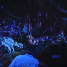 VIDEO: James Cameron Gives First Look at Disney World's New AVATAR Attraction