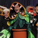 Segerstrom Center to Open 2015-16 Spotlight Series with FORBIDDEN BROADWAY, 10/1-4