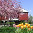 Celebrate Mother's Day with Food, Theatre and More at Amish Acres