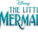 HCTO to Produce DISNEY'S THE LITTLE MERMAID, JR. Video