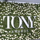 Photo Coverage: 2017 Tony Award Red Carpet Arrivals- Part 1 Video