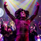 BWW Preview: CATS THE MUSICAL at Milburn Stone Theatre
