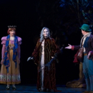 BWW Review: Houston's Theater Under the Stars Ventures INTO THE WOODS