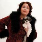 Photo Flash: Tinkerbelle the Dog Stars as 'Chowsie' in GYPSY at Harbor Lights Theater Video