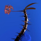 Grammy-Winning Producer Flume's Skin Companion EP II Out Now