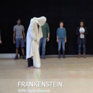 BWW Backstage: Video Preview of Denver Center's FRANKENSTEIN