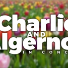 Shawn Verrier, Jeanine Robinson, Adam Cantor and More Complete CHARLIE AND ALGERNON C Video