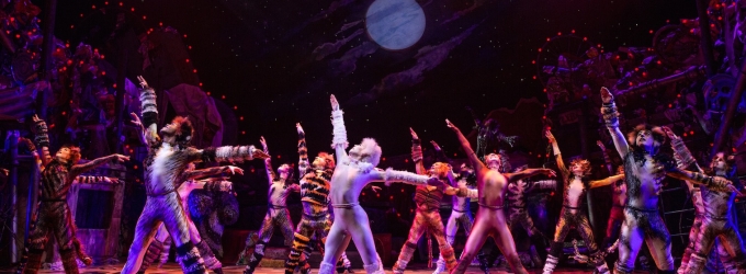 TV: They're Back! Watch Highlights from CATS on Broadway! Video