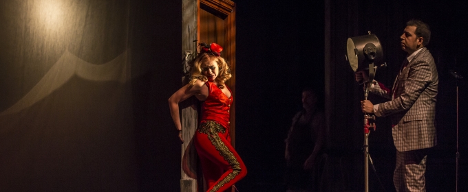 TV: Watch the Melodrama Unfold in Highlights from DESTINY OF DESIRE at the Goodman Video