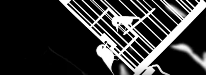 VIDEO: Watch Amy Raasch's Imaginative CAT BIRD COYOTE Animated Video Video