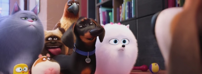 VIDEO: First Look - Kevin Hart & More Lend Their Voices to THE SECRET LIFE OF PETS Video