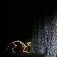 Photo Flash: Bridge Street Theatre presents THE EFFECT OF GAMMA RAYS ON MAN-IN-THE-MO Video