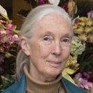 The Old Vic Presents VOICES OFF with Dr. Jane Goodall Video
