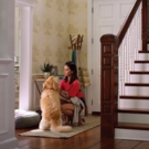 Olivia Munn Invests in Dog Walking App Wag!, Joins Company as Creative Strategist Video