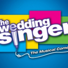 THE WEDDING SINGER to Hit the Stage at The Bayway Arts Center Video