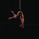 Acrobatic Conundrum to Bring LOVE AND GRAVITY to Colorado This Fall Photo