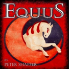 Blank Canvas Theatre Announces Cast of EQUUS