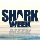 Programming Announced for Discovery's Eagerly Awaited Summer Event SHARK WEEK Video