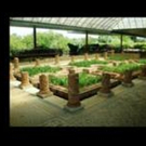 Travel To Portugal With The International Surrealism Now 2017