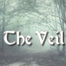 Conor McPherson's THE VEIL Opens Next Month at Town Players Video