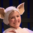 BWW Review: BABE THE SHEEP PIG is an Adorable Winner Photo
