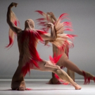 Charlie Le Mindu's First Foray Into Ballet Costume Design Breaks All Convention  Video