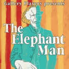THE ELEPHANT MAN Opens this Month at Gallery Players Photo