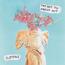 Norway's Sløtface Release Critically Acclaimed Debut Album 'Try Not To Freak Out' Tod Photo