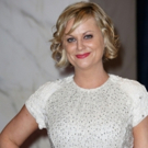 Amy Poehler & More to Bring New Comedy Series to Netflix Video