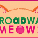 Seth Bisen-Hersh, Celia Mei Rubin, and More Announced for 9th Annual BROADWAY MEOWS Video