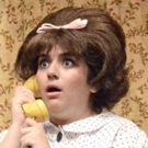 BWW Review: Laguna Playhouse Welcomes Adorably Plucky HAIRSPRAY Photo