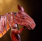 BWW Review: WAR HORSE, The Marlowe Theatre, Canterbury Photo