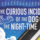 The Rep Announces Cast and Creative for THE CURIOUS INCIDENT OF THE DOG IN THE…