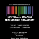 The City of Fairfax Theatre Company to Present JOSEPH AND THE AMAZING TECHNICOLOR DRE Photo