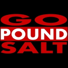 Listen to 'Gray' on Bandcamp from Pop Punk Band Go Pound Salt Photo