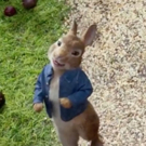 VIDEO: First Look - James Corden Lends Voice in New Animated Film PETER RABBIT Video